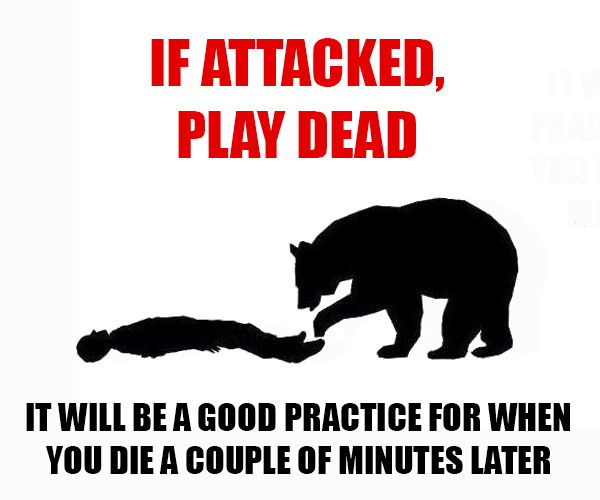 Teddy Land: Bear attack tips