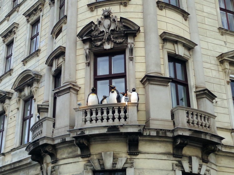 Teddy Land: Tourists in Vienna