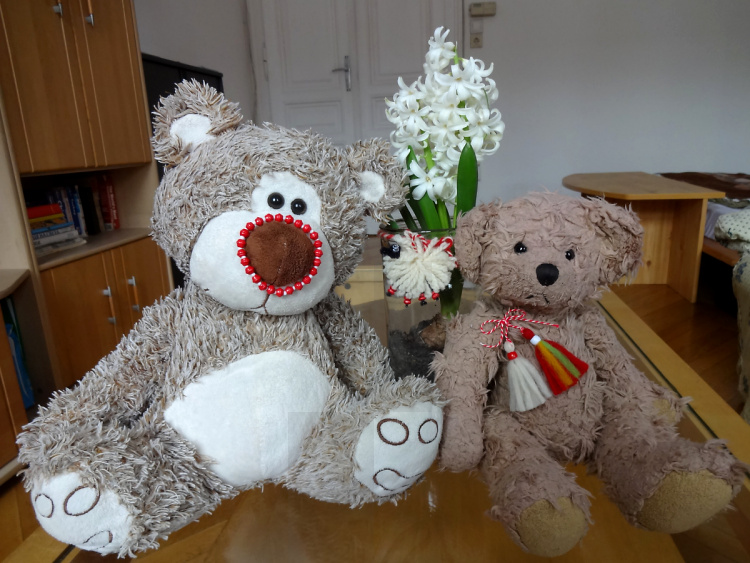 Teddy Land: Happy 1st of March