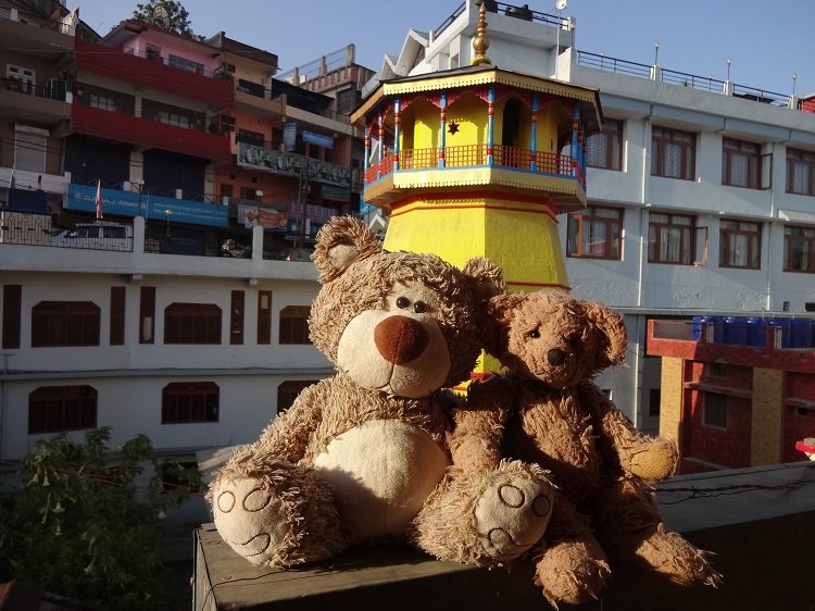 Teddy Land: India