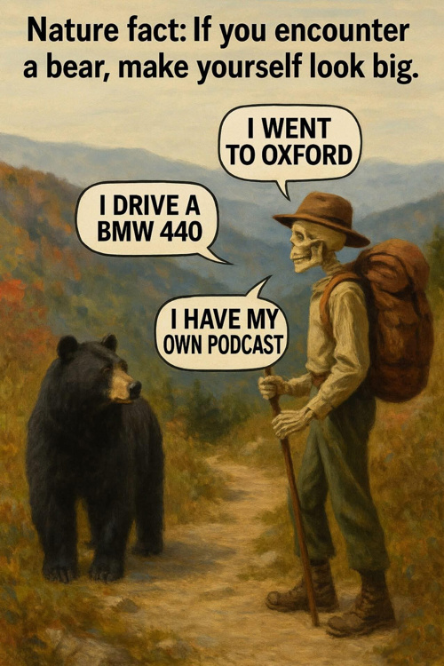 Teddy Land: Make Yourself Look Big