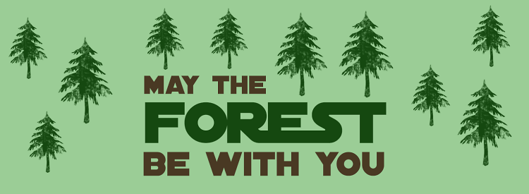 Teddy Land: May The Forest Be With You
