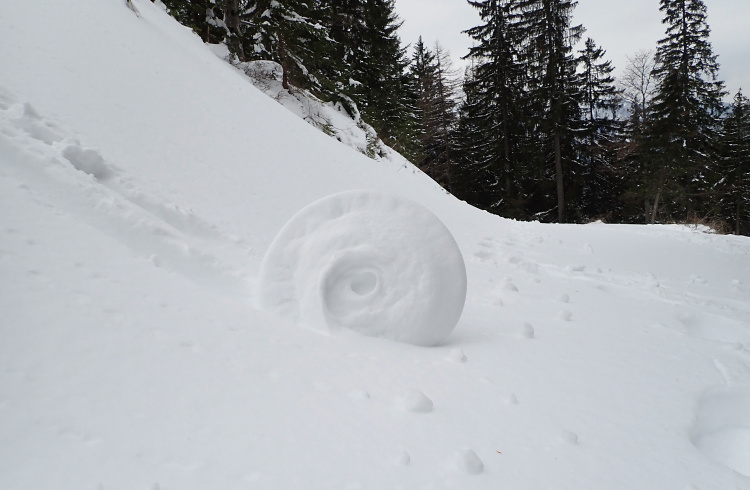 Teddy Land: Snow rollers