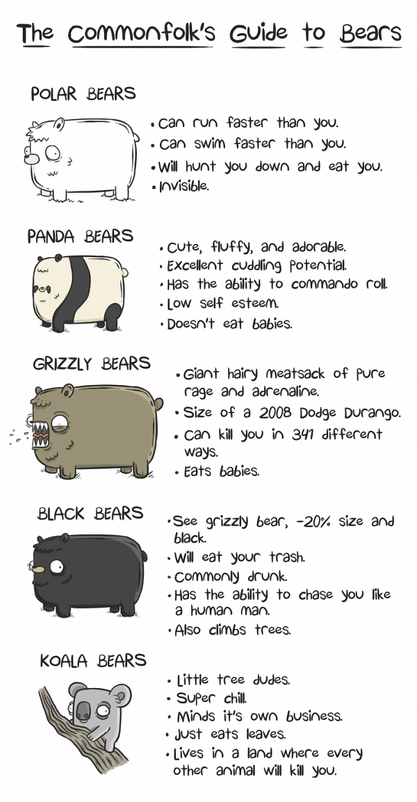 Teddy Land: The commonfolk's guide to bears
