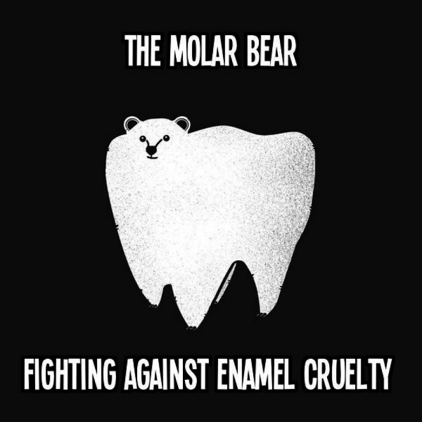Teddy Land: The Molar Bear - Fighting Against Enamel Cruelty
