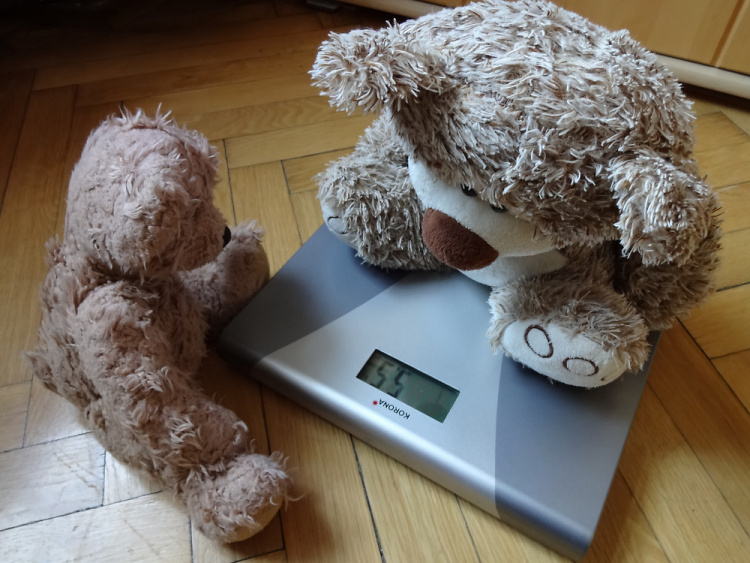 Teddy Land: Weight Watchers