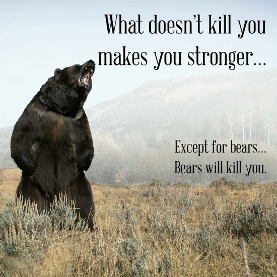 Teddy Land: What doesn't kill you makes you stronger... Except for bears... Bears will kill you.