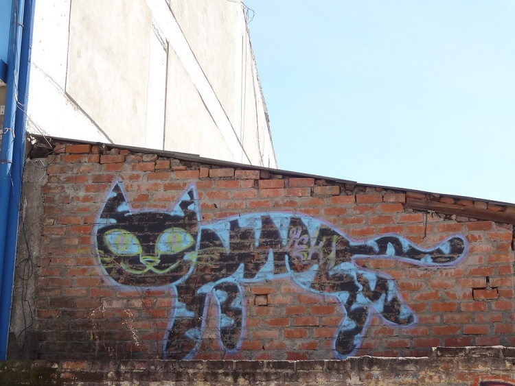 Teddy Land: Huaraz, Peru, Cat graffiti