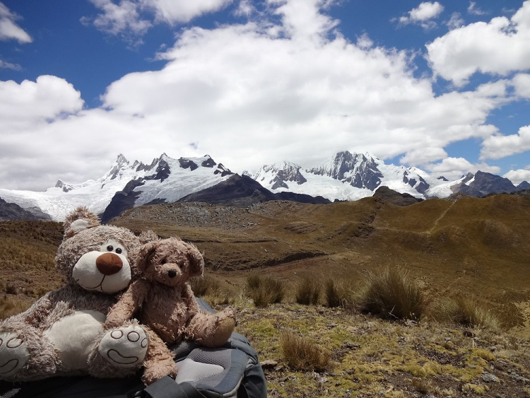 Teddy Land: Huascarán, Perú