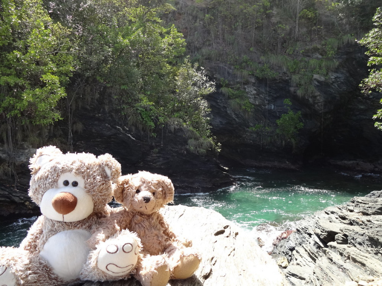 Teddy Land: Las Cuevas Bay, Trinidad and Tobago