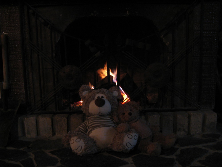 Teddy Land: In front of the fireplace