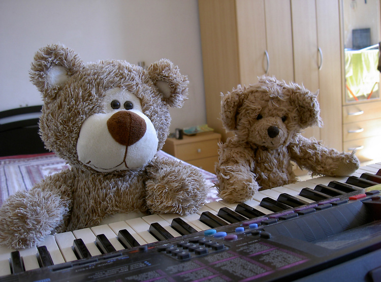 Teddy Land: Piano concerto for four paws