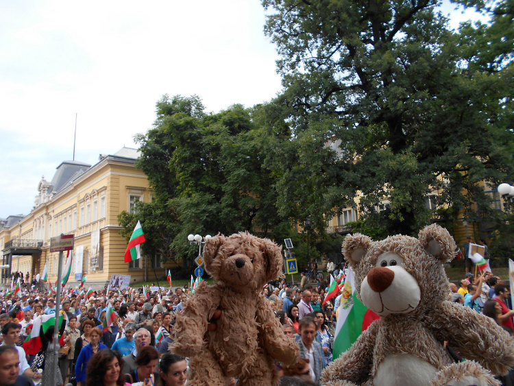 Teddy Land: Teddy Little Bear Joins Fresh Anti-Govt Protest in Sofia