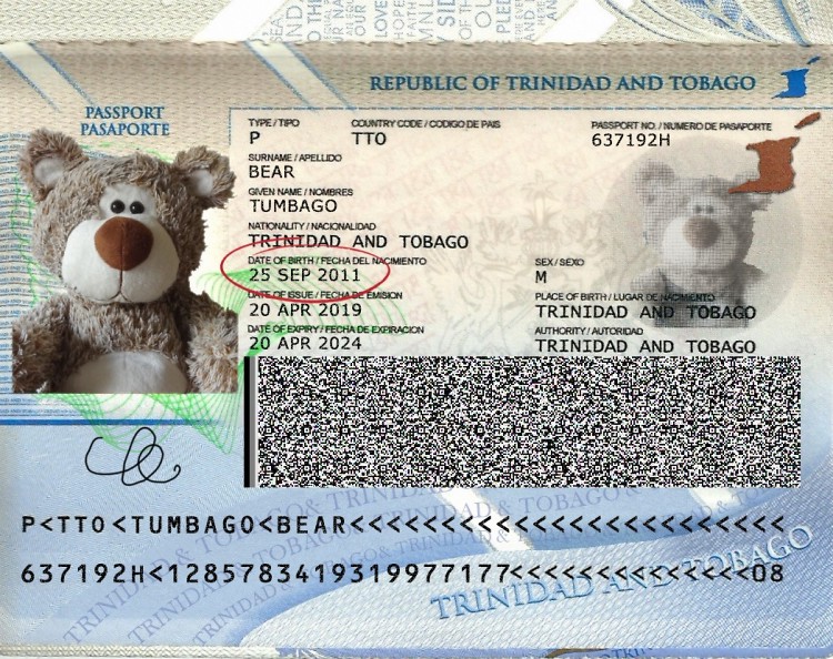 Teddy Land: Happy 8th Birthday Tumbago