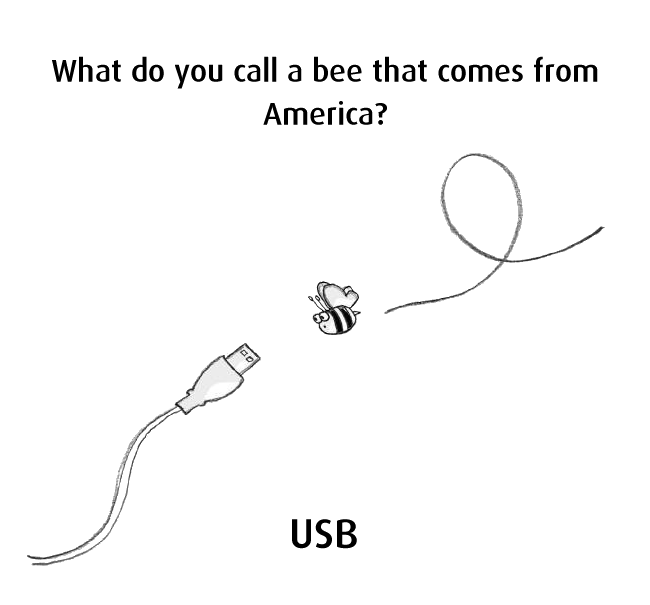 Teddy Land: What do you call a bee that comes from America?