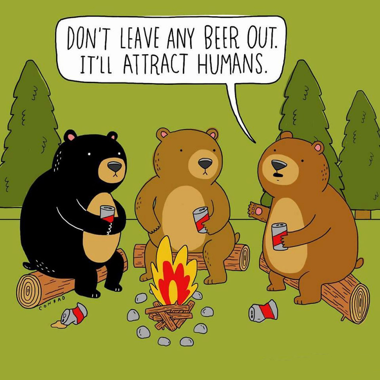 Teddy Land: Don't leave any beer out. It will attract humans.