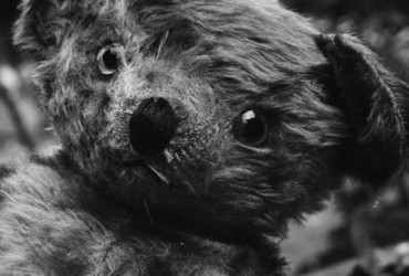 Caption from LIFE. Sam, teddy bear, age 37 (in 1970).