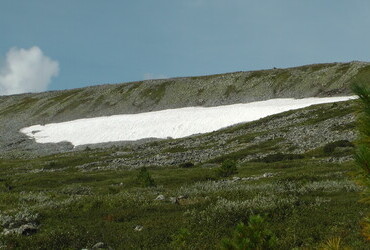 Shura avalanche slope