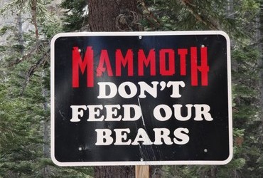 Don't Feed Our Bears ... and some bear claw marks of disagreement