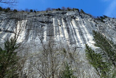 Toplitzsee, the rock face is 180 m high