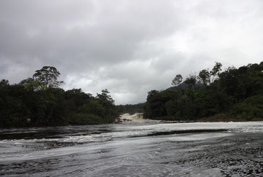 Potaro River in Kaieteur National Park - Guyana