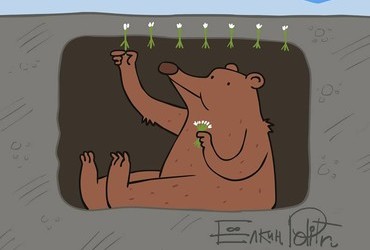 My fav Bear cartoons