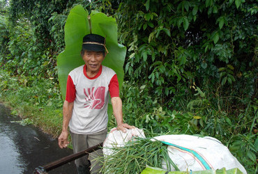 Soputan, Sulawesi, Indonesia - This is his raincoat