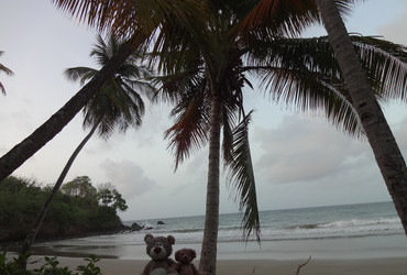 Good morning Tobago - Bacolet beach, Scarborough, Tobago