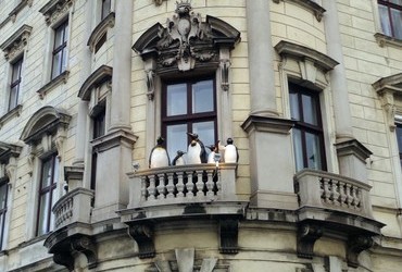 Tourists in Vienna