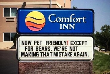 Comfort Inn. Now Pet Friendly! Except for Bears. We are not making that mistake again.