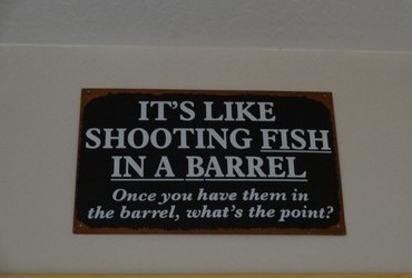 It's Like Fish in a Barrel - Once you have them in the barrel, what's the point?