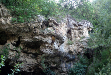Wild beehive, Krushunksi waterfalls