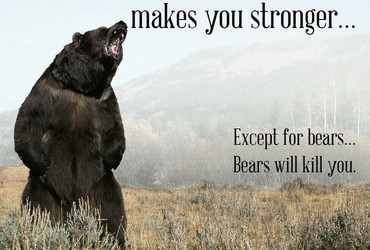 What doesn't kill you makes you stronger... Except for bears... Bears will kill you.