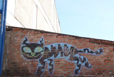 Cat on the roof graffiti - Huaraz, Perú