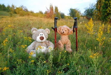 Two bears wit only one pair of hiking poles - Vitosha Mountain, Bulgaria